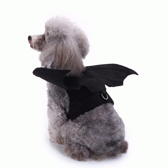 ペット服 犬服 ハロウィン コウモリ ペット用品 ネコ雑貨 ペット雑貨の通販はau Pay マーケット Grinfactory Au Pay マーケット店