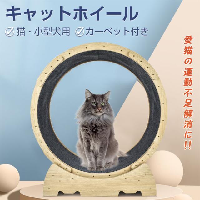 キャットホイール 猫 小犬トレッドミル ローラー ルームランナー 回し車の通販は