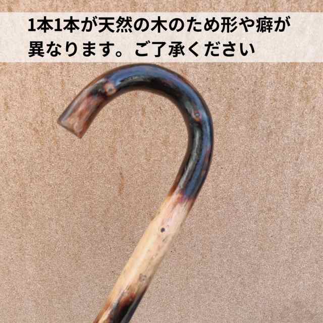 1Au31 O】つえ 杖 天然木 一本木 仙人の杖 - アンティーク、コレクション