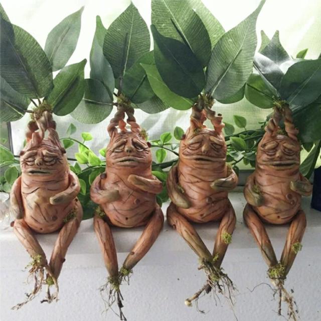 置物 マンドラゴラ マンドレイク ホラー リアル 本格的 誕生日 / ガーデニング おすすめ 人気 6,626円