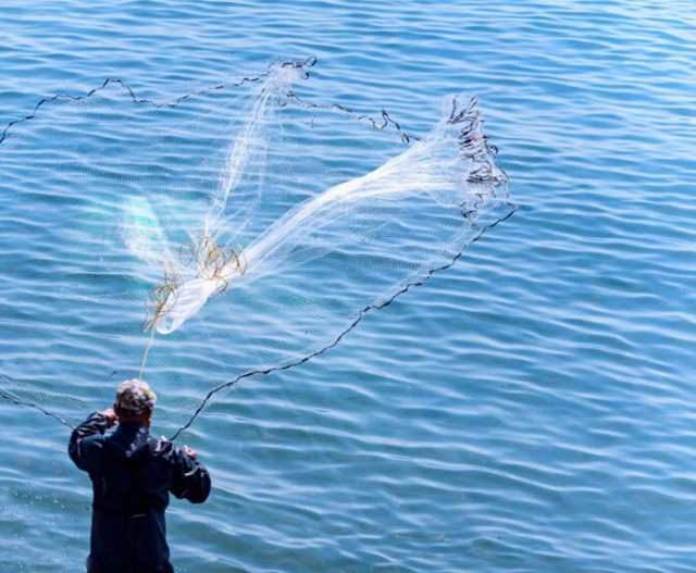 投網 とあみ 魚 漁業 漁師 フィッシング スポーツ ネット 釣りネッ / 人気 おすすめの通販は