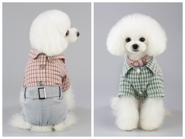 小型犬 中型犬 犬服 猫服 ペット服 ペット用品の通販はau Pay マーケット Grinfactory Au Pay マーケット店