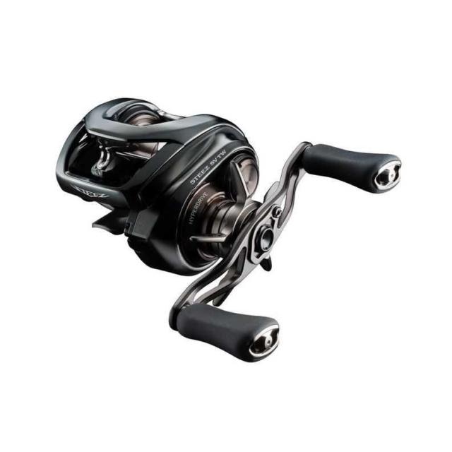 DAIWA ダイワ 24STEEZ SV TW 100L
