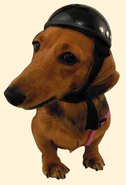 愛犬にも 犬 ペット用ヘルメット アニマルヘルメット 小型犬用の通販はau Pay マーケット Crow湘南バイカーズショップ