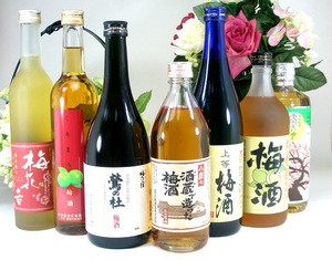 酒蔵の造った梅酒が飲みたかったぁ　飲み比べ送料込み7本セット