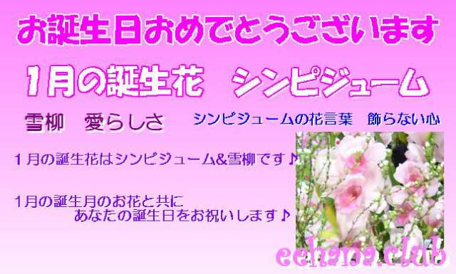 訳ありセール格安 11月誕生花 おまかせフラワー 000円 送料無料 ネット特価 Sale 公式通販 直営店限定 Www Centrodeladultomayor Com Uy