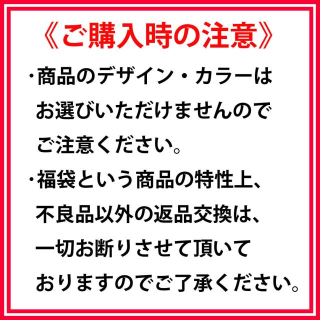 送料無料】お兄、アメカジ系☆トータルコーディネート☆春物福袋12点