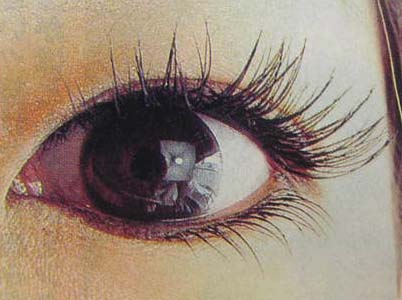 くるくる本舗 送料無料まつげエクステ 単品下まつげ用ｍｉｎｉ の通販はau Pay マーケット くるくる本舗