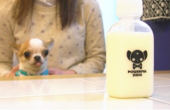 スキップボトル100ml チワワ 小型犬 散歩 水飲みボトル Ksb Trc の通販はau Pay マーケット チワワ専門店skipdog