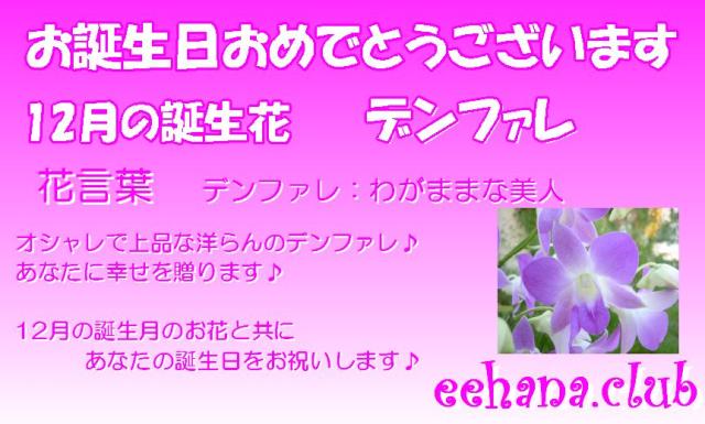 12月誕生花★おまかせフラワー12,000円【送料無料】ネット特価！_1