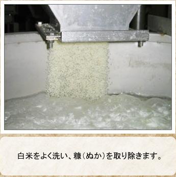 【送料無料12本セット】篠崎　国菊甘酒　黒米　あまざけノンアルコール　900ｍｌ×12本_1
