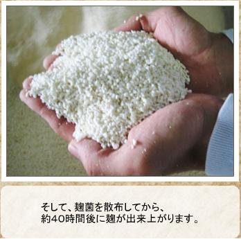 【送料無料12本セット】篠崎　国菊甘酒　黒米　あまざけノンアルコール　900ｍｌ×12本_4