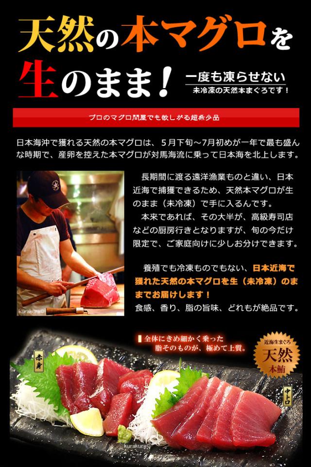 6月限定 天然 近海 生本マグロ 中トロ ブロック (約1kg) 国産(日本海産) 本マグロ クロマグロ 中トロ 生マグロ 生まぐろ まぐろ 鮪 天然 人気 男性 女性 喜ばれる 2026 冷蔵 送料無料_2