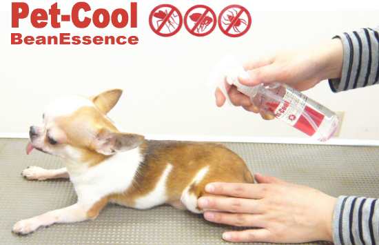 ペットクール Beanessence 防虫スプレー チワワ 小型犬 虫除け 蚊避け ノミ ダニ の通販はau Pay マーケット チワワ専門店skipdog