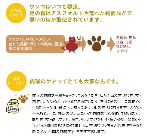 肉球ハニークリーム チワワ 全犬種 足裏ケア 滑り止め の通販はau Pay マーケット チワワ専門店skipdog