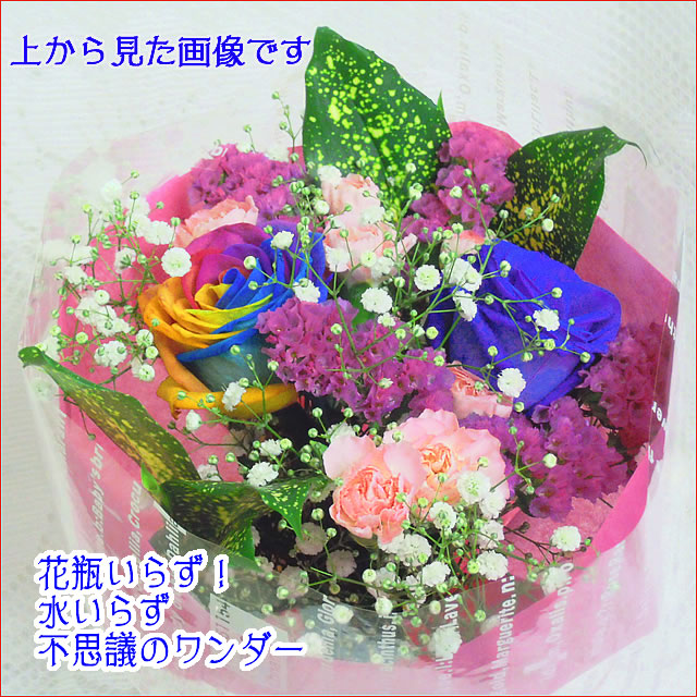 レインボーローズ ブルーローズ 夢のワンダーブーケ 翌日配送