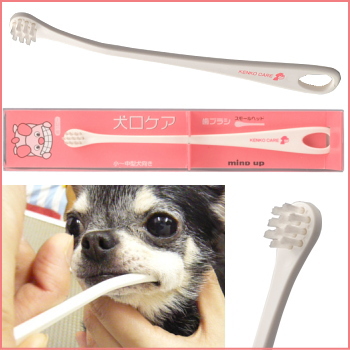 犬口ケア 歯ブラシ スモールヘッド 小 中型犬向 チワワ 小型犬 デンタルケア 歯磨き の通販はau Pay マーケット チワワ専門店skipdog 犬口ケア 歯ブラシ スモールヘッド 小 中型犬向 チワワ 小型犬 デンタルケア 歯磨き の通販はau Pay マーケット チワワ専門店skipdog