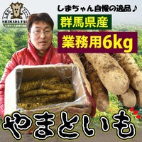 訳あり 島田ファーム産 やまといも 6kg 業務用 群馬県産やまと芋 ヤマトイモ ヤマト芋 通販 群馬県 尾島町 大和芋 山芋 長芋 自然薯 の通販はau Pay マーケット ヘルシーラボ