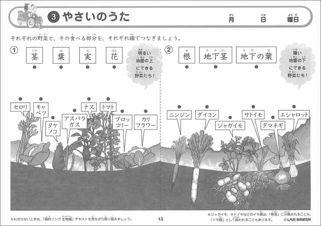 七田式（しちだ）教材 理科ソングプリント 生物編 + 地学編 + 物理 ...