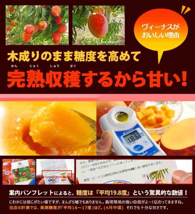 ヴィーナスマンゴー (3玉前後/約1.2kg) メキシコ産 メキシコマンゴー マンゴー 輸入 高糖度 甘い 高級 食品 フルーツ 果物 マンゴー  ギフの通販はau PAY マーケット まいど！おおきに屋クラクラ au PAY マーケット－通販サイト