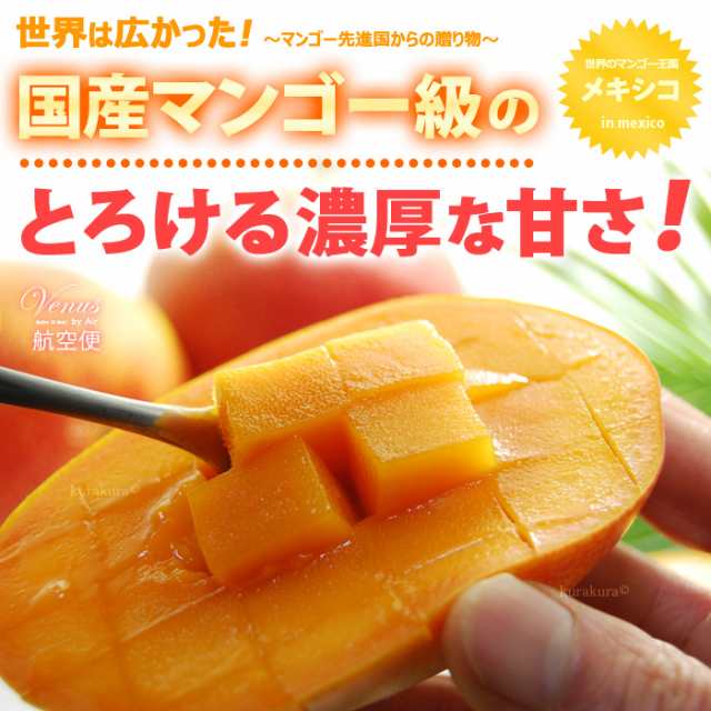 ヴィーナスマンゴー 12 14玉前後 約5kg メキシコ産 ギフト 贈答 食品 フルーツ 果物 マンゴー 送料無料の通販はau Pay マーケット まいど おおきに屋クラクラ ヴィーナスマンゴー 12 14玉前後 約5kg メキシコ産 ギフト 贈答 食品 フルーツ 果物 マンゴー 送料無料の通販はau Pay マーケット まいど おおきに屋クラクラ