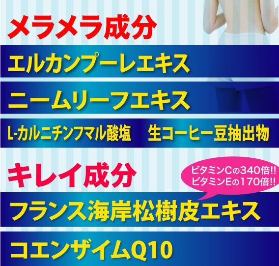 数量限定 メール便ok 速攻美脚革命 ９９粒 脚 足 太もも そっこうびきゃくかくめい 軽減税率対商品の通販はau Pay マーケット ソレイユ スマホ決済などok