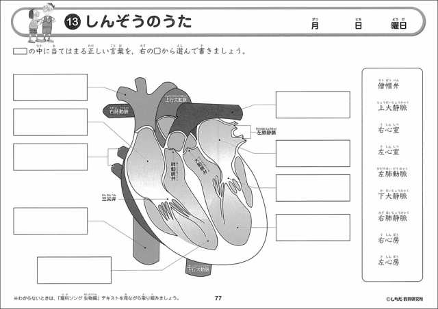 七田式（しちだ）教材 理科ソングプリント 生物編 + 地学編 + 物理 