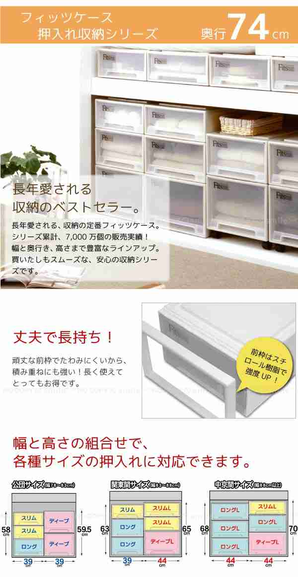 フィッツケース [ディープL] 【2個組】の通販は
