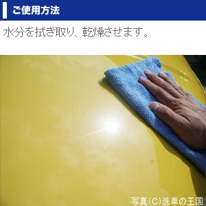 ワックスオフ150ml 脱脂剤 シリコンオフ 脱脂 プロ仕様 ワックス除去 Wax 油落し 油取り クリーナー 洗車用品 車用 ボディー塗装面 車の通販はau Pay マーケット 洗車の王国