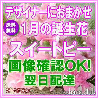 1月誕生花★デザイナーにおまかせフラワー12,000円【送料無料】ネット特価!! の通販は