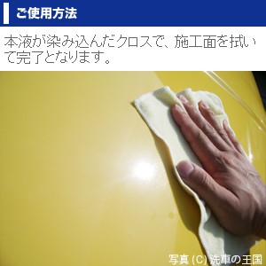 ワックスオフ150ml 脱脂剤 シリコンオフ 脱脂 プロ仕様 ワックス除去 Wax 油落し 油取り クリーナー 洗車用品 車用 ボディー塗装面 車のネットショッピング 通販はau Pay マーケット Auコマース ライフ株式会社運営