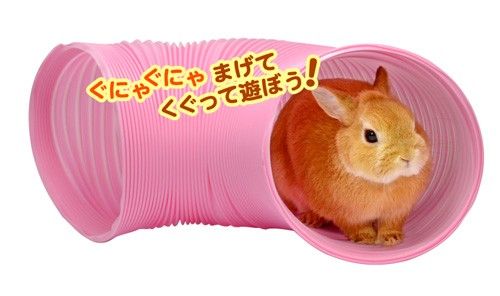 三晃商会 うさぎ用おもちゃジャバラトンネル ピンク の通販はau Pay マーケット 小動物用品専門店e ペット屋さん