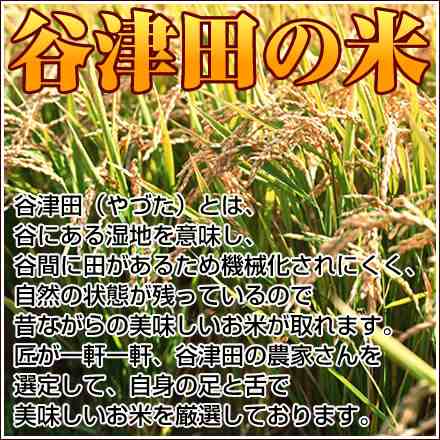 米 お米 送料無料 新米 令和3年 千葉県産 ふさこがね 玄米 10kg 白米8 8kg 送料無料 安い 一部地域へのお届けは別途送料が発生の通販はau Pay マーケット 匠 市右エ門