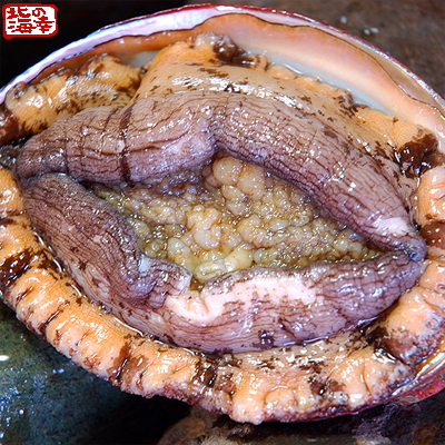 あわび アワビ 北海道産 送料無料 冷凍 天然 エゾアワビ 1kg 14個前後 利尻島産 活アワビを瞬間急速冷凍 鮮度抜群 黒あわび の通販はau Pay マーケット どさんこファクトリー北海道