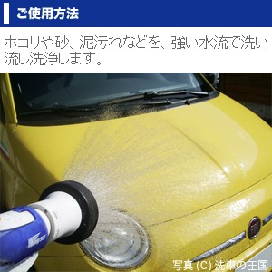 ワックスオフ150ml 脱脂剤 シリコンオフ 脱脂 プロ仕様 ワックス除去 Wax 油落し 油取り クリーナー 洗車用品 車用 ボディー塗装面 車の通販はau Pay マーケット 洗車の王国