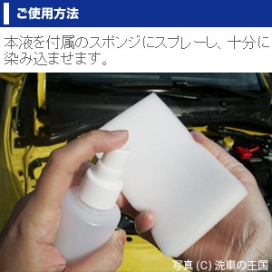 エンジン クリン150ml エンジンルーム汚れ落とし 油汚れ オイル洗浄 グリス除去 カークリーナー 車カーシャンプー 油落し 油取り 洗車の通販はau Pay マーケット 洗車の王国