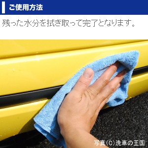 モール クリン50ml 汚れ 退色 劣化 艶 プラスチック バンパー 無塗装 ドアモール 洗浄剤 自動車 汚れ落とし 車用 シャンプー 汚れ落しの通販はau Pay マーケット 洗車の王国