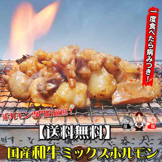 和牛ミックスホルモン250g 肉 バーベキュー 送料無料 焼肉 もつ BBQの通販はau PAY マーケット - 越前のホルモン屋