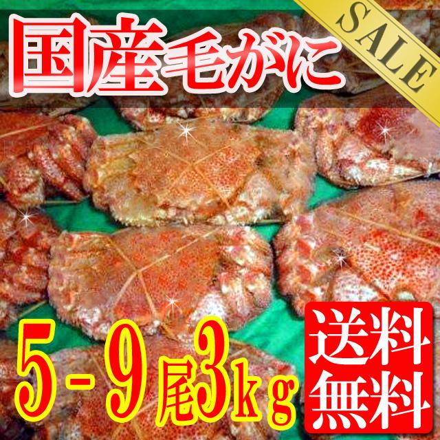 毛蟹を5-9杯約3キロ【送料無料】毛ガニ/ボイルほたて/かにみそ/カニ/かに/蟹/目玉商品/冷凍Aの通販は