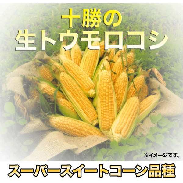 北海道産 冷凍 ホールコーン 業務用1ｋｇの通販はau Pay マーケット 十勝バーベキュー工房