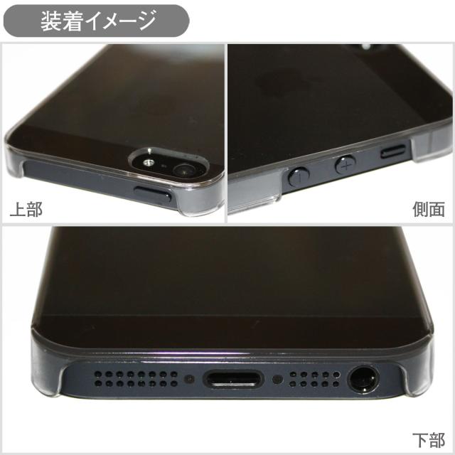 iPhone 16 e 15 14 13 12 11 X XR XS 8 7 6 5 SE mini Pro Plus