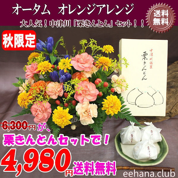 ポイント5倍！売れてます★中津川「栗きんとん」+ビタミンアレンジセット！4,980円【送料無料】秋限定！の通販は