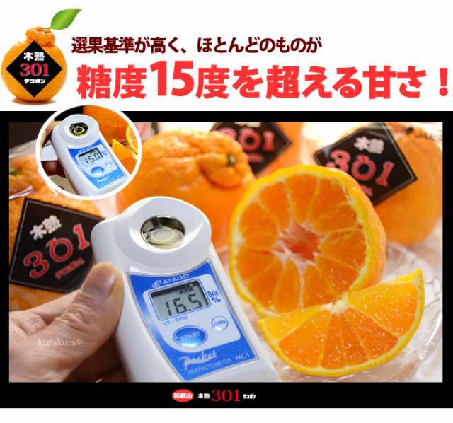 木熟 デコポン 301 (約3kg) 和歌山産 デコポン でこぽん 秀品 柑橘