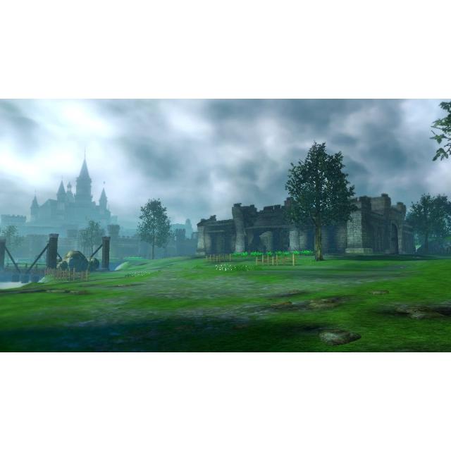 [メール便OK]【新品】【WiiU】【通】ゼルダ無双 通常版[お取寄せ品]_7