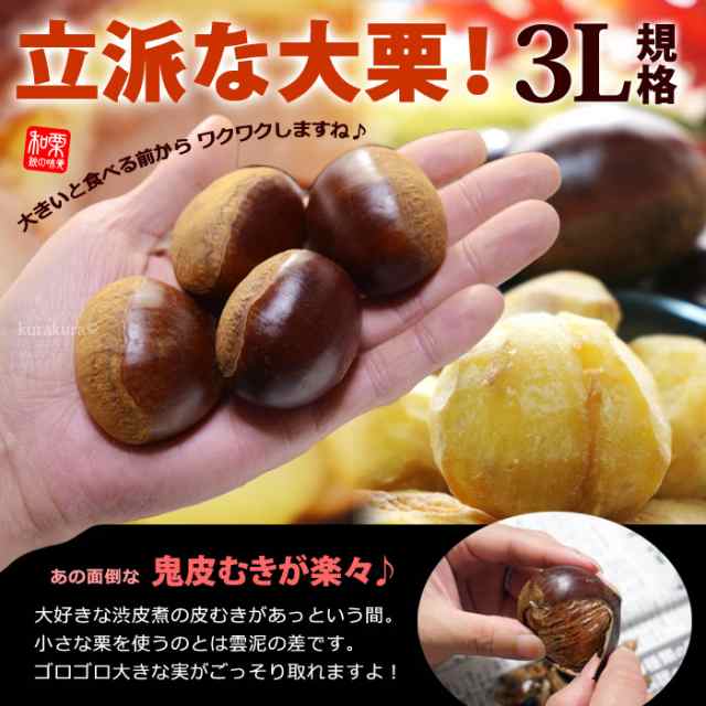 栗 3L (約3kg) 熊本・愛媛・茨城産 大粒 和栗 生栗 くり クリ 食品