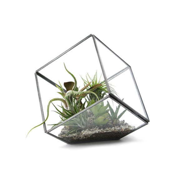 ジオテラリウム Lサイズ おしゃれなガラスケース 観葉植物用のプランター テラリウム 多肉植物 エアープランツ 植物 鉢の通販はau Pay マーケット オリジ