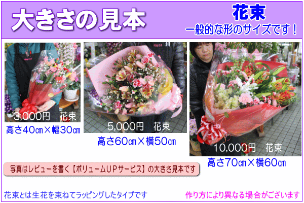 春のお花！お得なデザイナーにおまかせフラワー12,000円 【送料無料】画像確認ＯＫ！15時まで即日配送_3