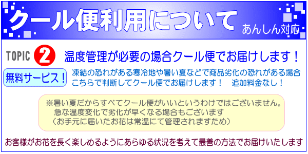 春のお花！お得なデザイナーにおまかせフラワー12,000円 【送料無料】画像確認ＯＫ！15時まで即日配送_7