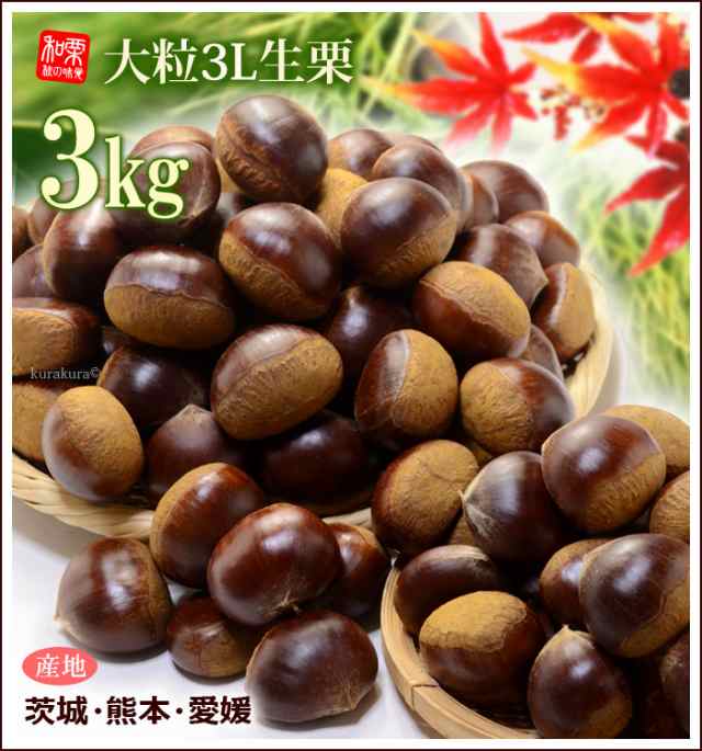 栗 3L (約3kg) 熊本・愛媛・茨城産 大粒 和栗 生栗 くり クリ 食品