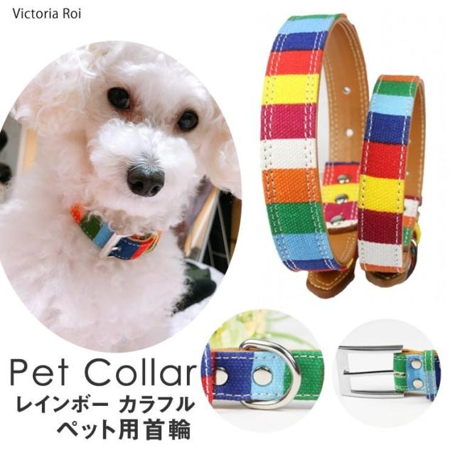 犬 猫 首輪 リード小型犬 中型犬 可愛 S M Lキャンバス生地お散歩グッズ ペットグッズ レインボー カラフルペット用首輪